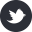Twitter icon